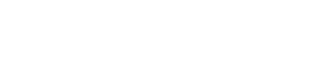 PURE STAR EMPLOYMENT – LLC – SPC